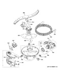 Diagram for Motor, Sump & Filter Assembly