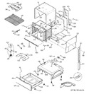 Diagram for 3 - Body Parts